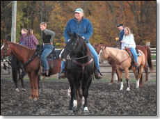 Team Penning 2
