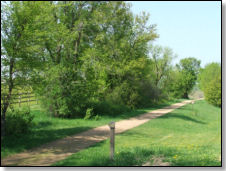 Grassy Trail