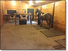 Heated Groom Room