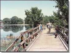 Luce Line Trail On Bridge