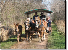 Wagon Ride