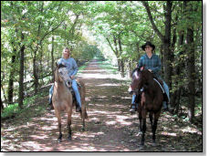 Trail riding under a canopy of trees